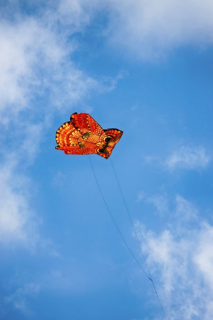 close up traditional owl-shaped kites