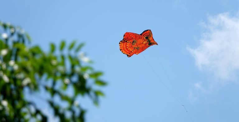 Balinese Traditional Owl-shaped Kites
