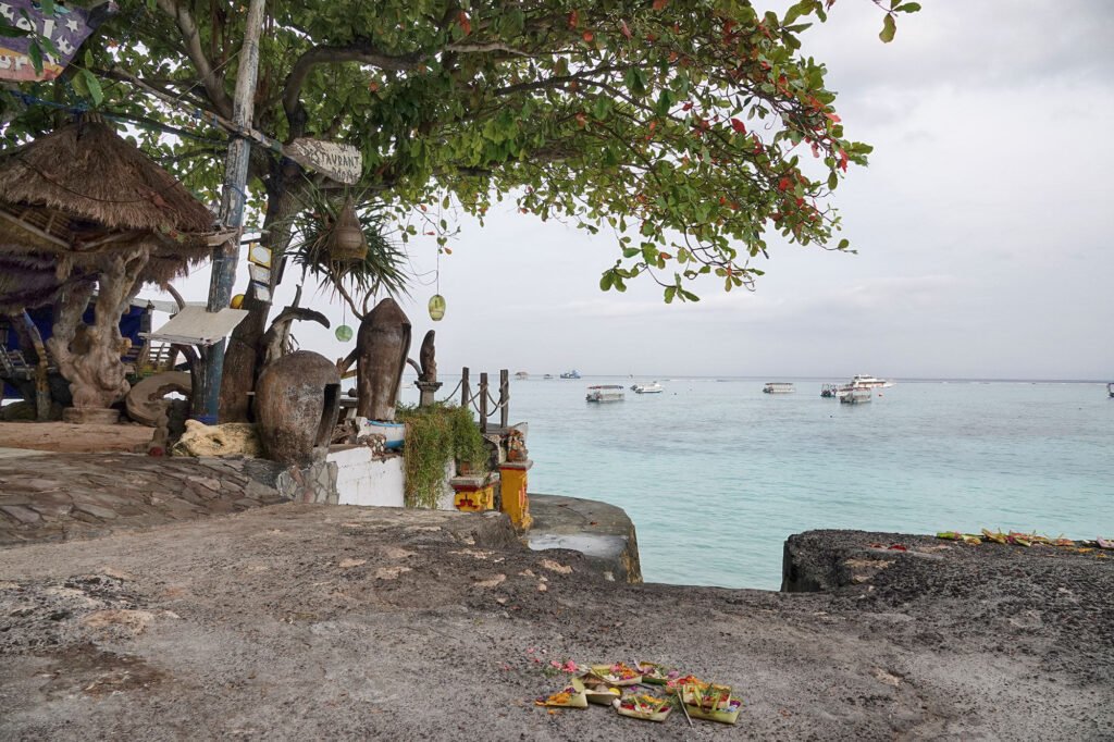 Beach filled with boats