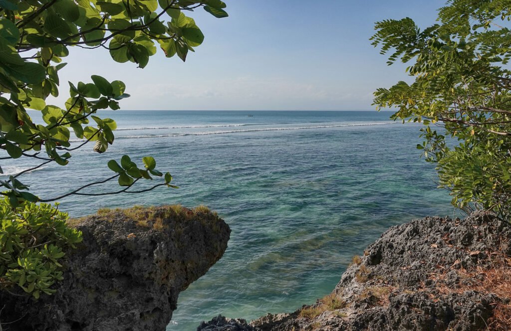 Coral on the padang-padang beach