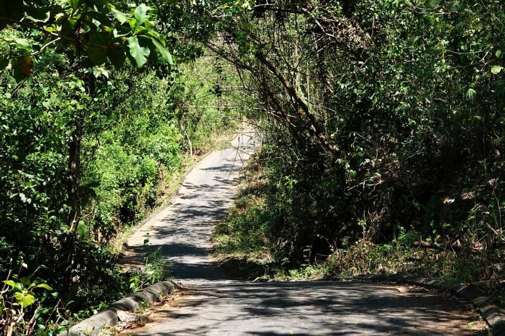 Road to Dreamland Beach Located In Uluwatu Bali