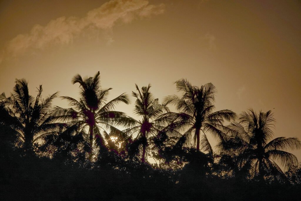 best sunset view on uluwatu bali