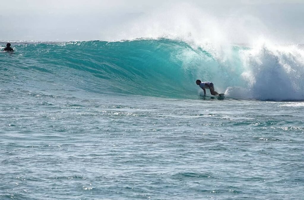 Brave and free and wild as the waves of the sea.