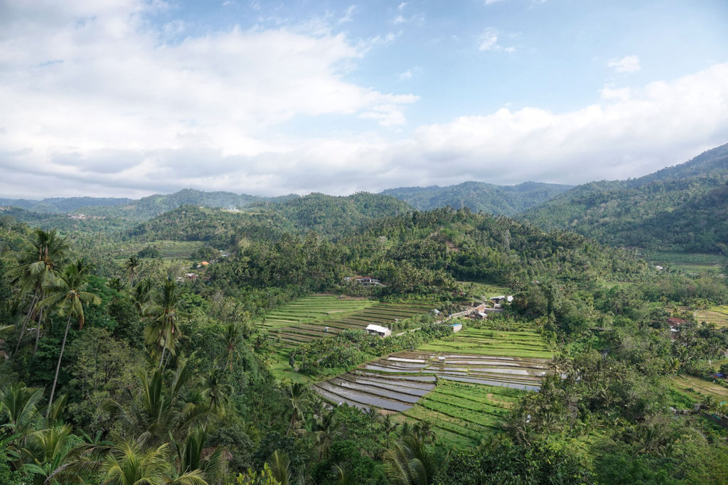 North-Bali-Rice-Fields