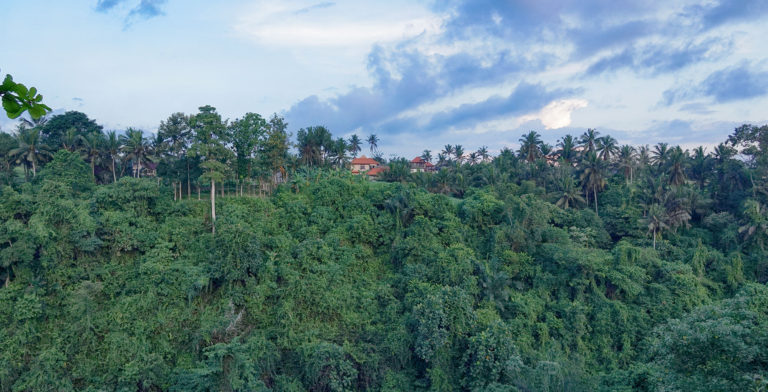 Best Jungle Home in North Bali Wilderness