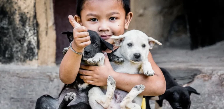Bali Animal Welfare Association 02 768x376