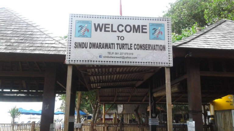 20171007 083114 59d855347ac6650a7e419d12 768x432