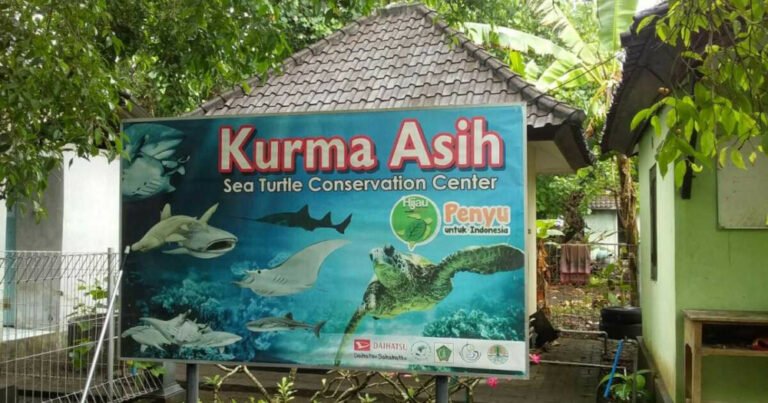 PicsArt 12 13 07.06.49 768x403