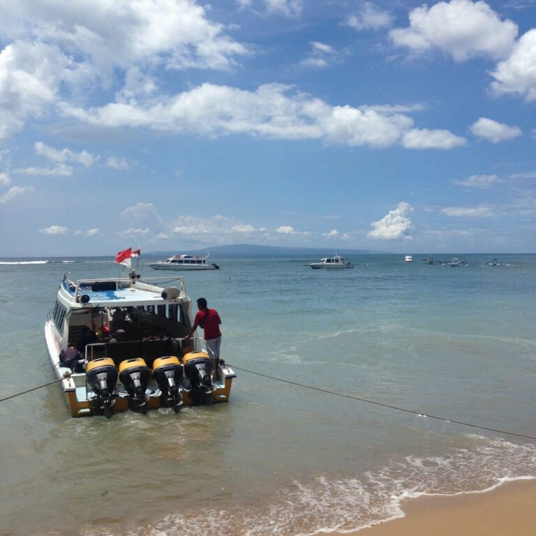 optasal boat 2 768x768