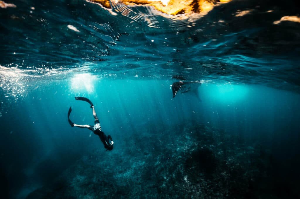 190214 MR FREEDIVE BritAmyFedCam MANTA DSC045171 1024x682