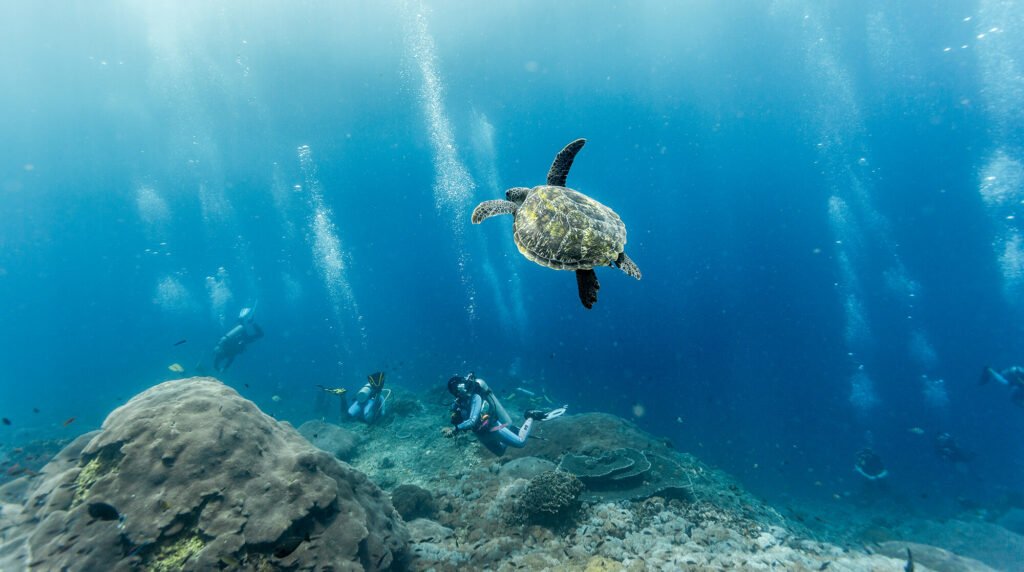 BlueCorner GoDiving Banner 2000px 1024x572