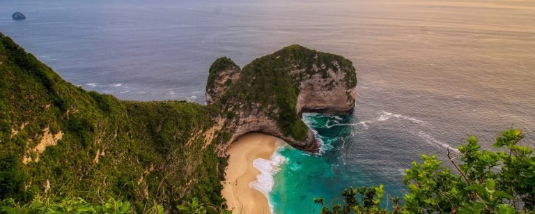 bali dest 1189 768x307