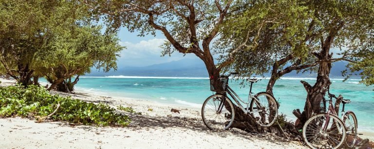 bali dest 960 768x307